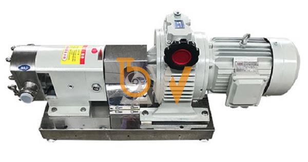 Máy bơm lobe 3RP-2 lưu lượng 1.2 m³/h tốc độ quay 1000 vòng/phút đường kính kết nối DN15