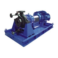 Bơm li tâm dẫn động từ tiêu chuẩn API 658 seri CN MAG - M