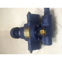 Bơm bánh răng 5m3 dùng bạc không có vòng bi