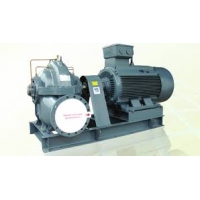 Bơm hai cửa hút model GVI 100 - 2502