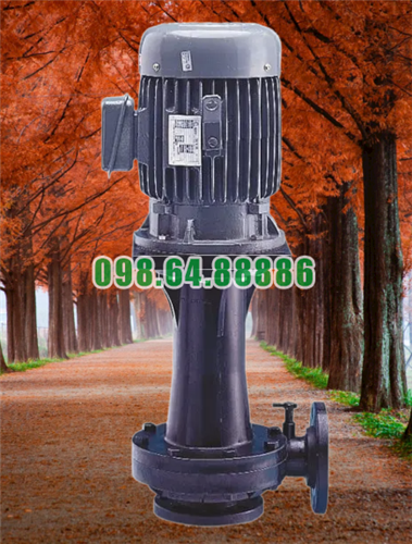 Bơm dập khói và khí model KD100-VP155