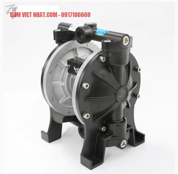 Bơm màng TDS DS10-AAT-OATS-02 1 inch