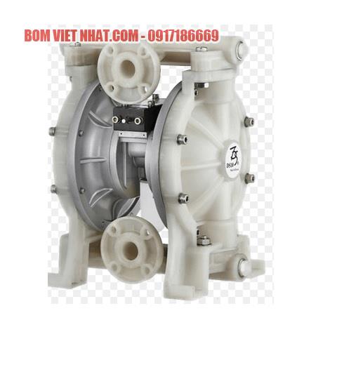 Bơm màng TDS DS10-AAT-TATS-02 1 inch