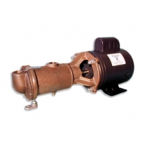 Bơm bánh răng ăn khớp ngoài thân đồng model 101